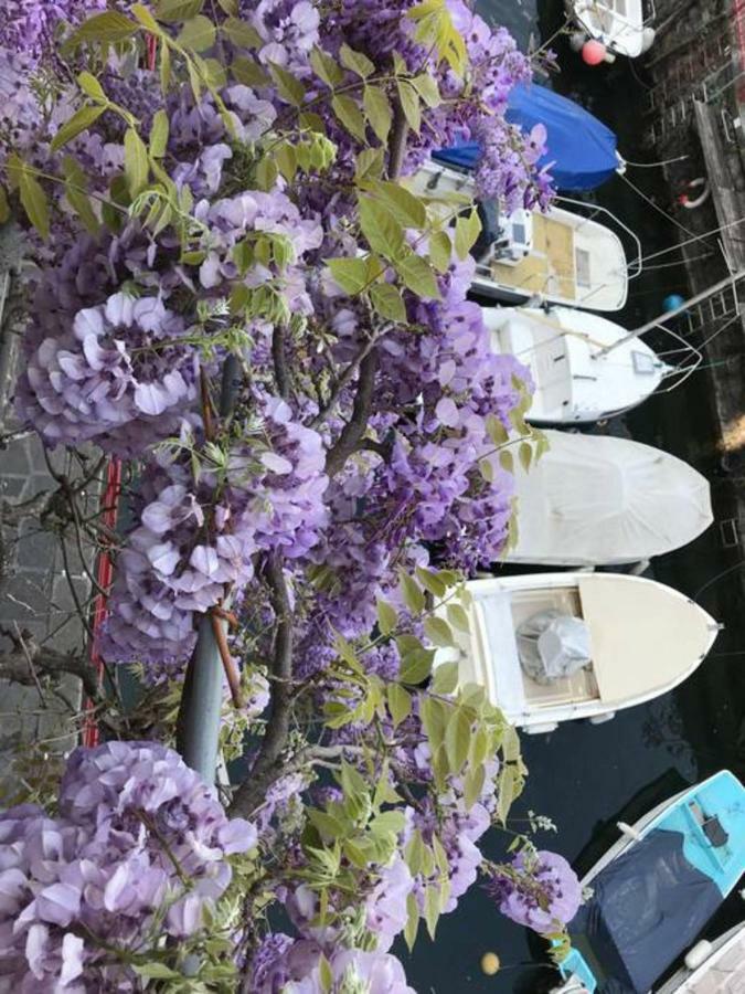 Casa Balcony Daire Varenna Dış mekan fotoğraf